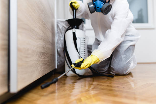 Best Ant Control Services  in Pontotoc, MS