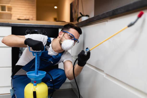 Best Best Pest Control Companies  in Pontotoc, MS