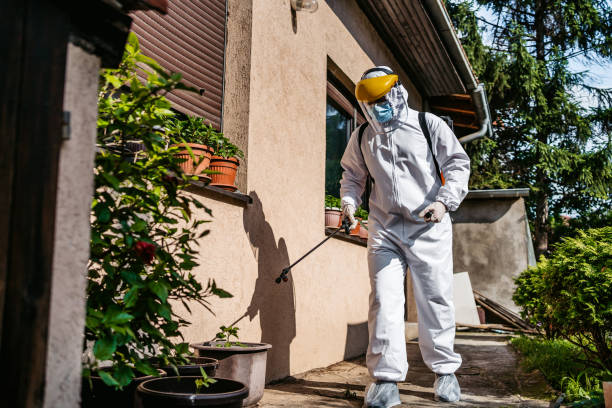 Best Pest Control Near Me  in Pontotoc, MS