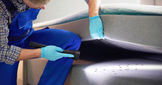 Best Commercial Pest Control Services  in Pontotoc, MS