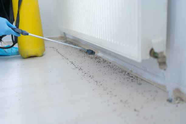 Best Best Pest Control Companies  in Pontotoc, MS