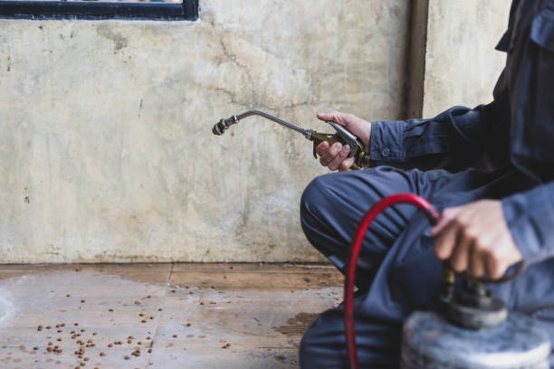 Best Residential Pest Control  in Pontotoc, MS